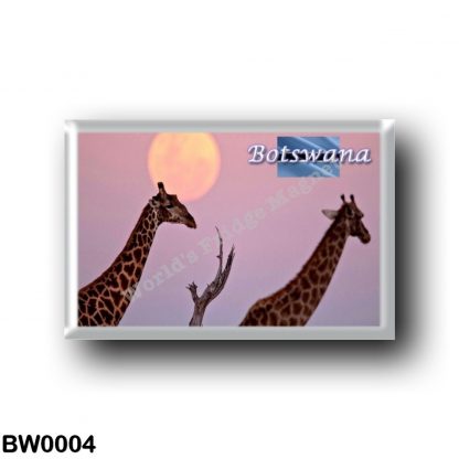 BW0004 Africa - Botswana - Earth Touch Giraffe Moon