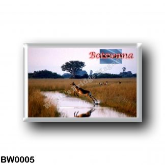 BW0005 Africa - Botswana - Flying Female Lechwe