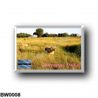 BW0008 Africa - Botswana - Okavango Delta - Lions