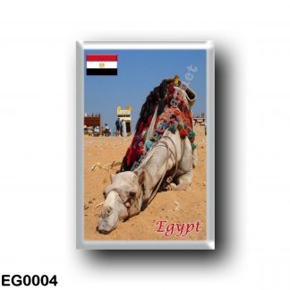 EG0004 Africa - Egypt - Camel tired