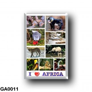 GA0011 Africa - Gabon - I Love Africa