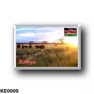 KE0009 Africa - Kenya - Panorama