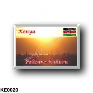 KE0020 Africa - Kenya - Pelicans Nakuru