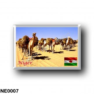 NE0007 Africa - the Niger - Oasis Bilma