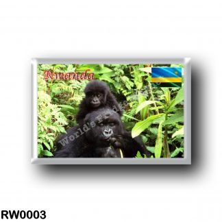 RW0003 Africa - Rwanda - Gorilla at National Park