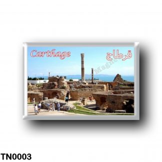 TN0003 Africa - Tunisia - Carthage