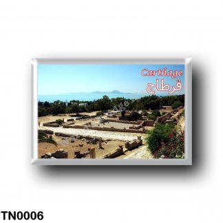TN0006 Africa - Tunisia - Carthage - Ruins