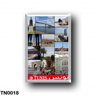 TN0018 Africa - Tunisia - Tunis - I Love