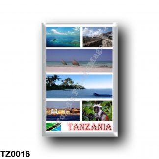 TZ0016 Africa - Tanzania - Mosaic
