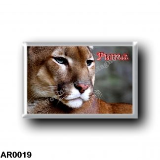 AR0019 America - Argentina - Puma