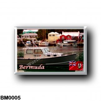 BM0005 America - Bermuda - Flatts Village