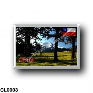 CL0003 America - Chile - Araucarias - Monumento Natural
