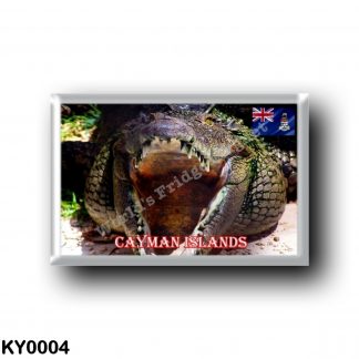 KY0004 America - Cayman Islands - Crocodile at Cayman