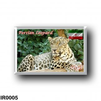 IR0005 Asia - Iran - Persian Leopard