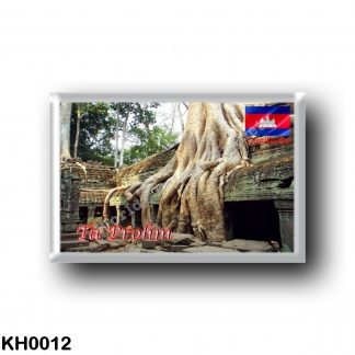 KH0012 Asia - Cambodia - Ta Prohm