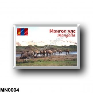 MN0004 Asia - Mongolia - Khongoryn Els Camels