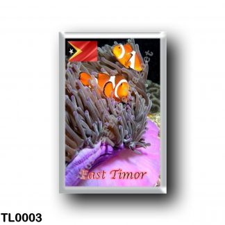 TL0003 Asia - East Timor - Anemonefish