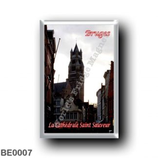 BE0007 Europe - Belgium - Bruges - La Cathédrale Saint-Sauveur