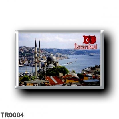 TR0004 Europe - Turkey - Istanbul - Panorama