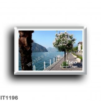 IT1196 Europe - Italy - Lombardy - Iseo - Walk