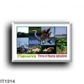IT1214 Europe - Italy - Lombardy - Mantua - Lake Flora and Fauna