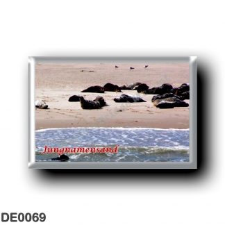 DE0069 Europe - Germany - Friesische Inseln - Frisian Islands - Jungnamensand - Dichtungen