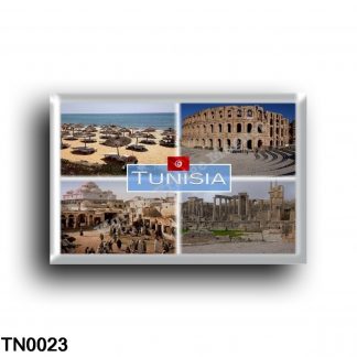 TN0023 Africa - Tunisia - Hammamet one of the main tourist destinations - Medina district of Tunis - Ruins of the world heritage