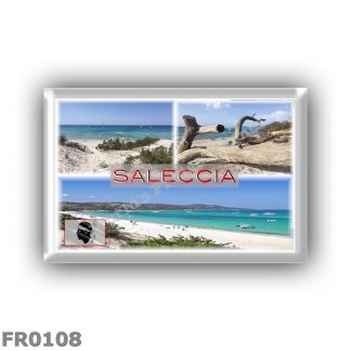 FR0108 Europe - France - Corsica - Saleccia - plage