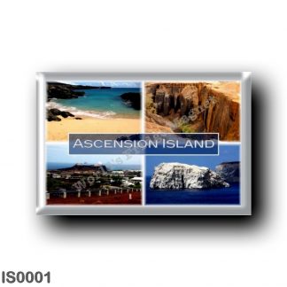 IS0001 Europe - Iceland - Ascension Island - Volcan - Comfortless Cove - Cat Hill - Boatswain Bird
