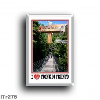 ITr275 Europe - Italy - Trentino Alto Adige - Tione di Trento - Bridge that dances