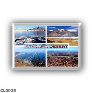 CL0025 America Chile - Atacama Desert - Green Lagoon - Salar de Talar Lagoon near San Pedro - Vegetation in Pan de Azucar National Park